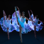 LA BELLE AU BOIS DORMANT